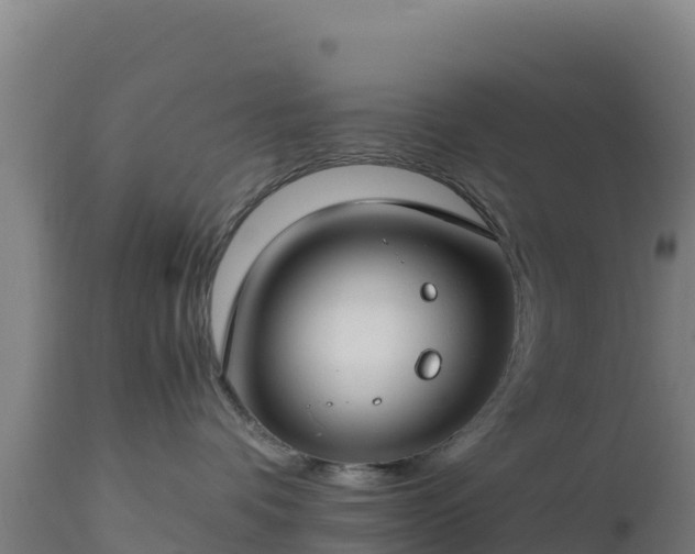 X0000112900336200908281731