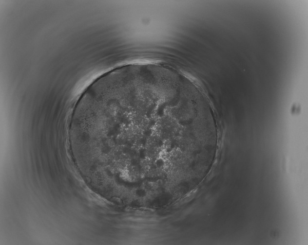 X0000112900337200908281730