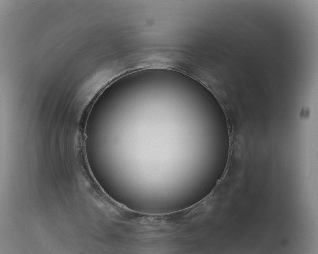 X0000112900338200908281730