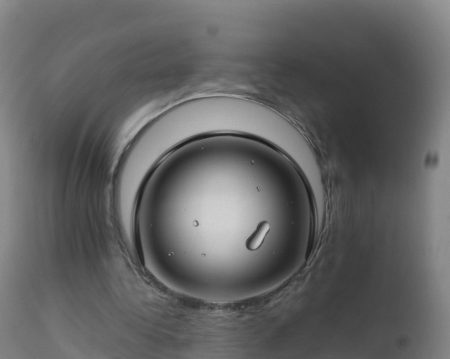 X0000112900340200908281730