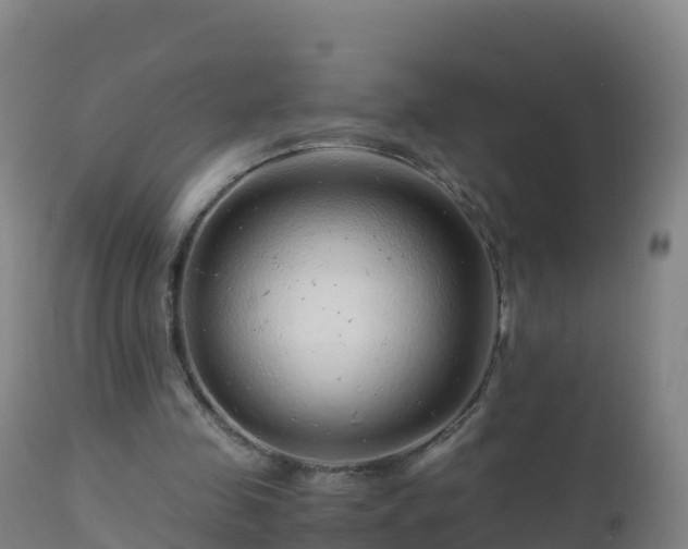 X0000112900341200908281730