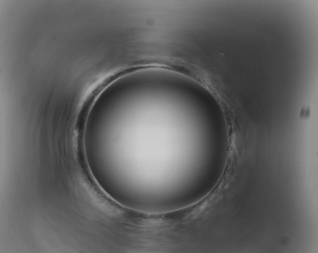 X0000112900342200908281731