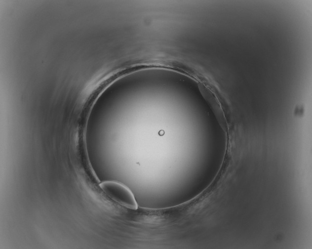 X0000112900344200908281731