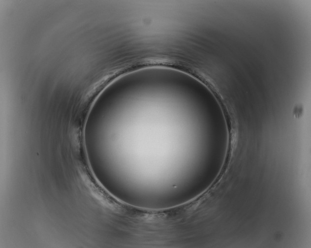 X0000112900345200908281731