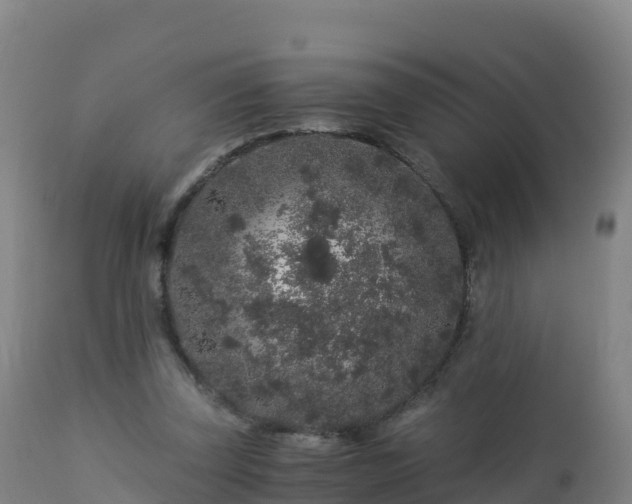 X0000112900347200908281731