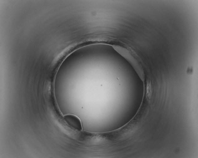 X0000112900348200908281731