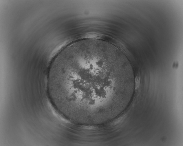 X0000112900349200908281731