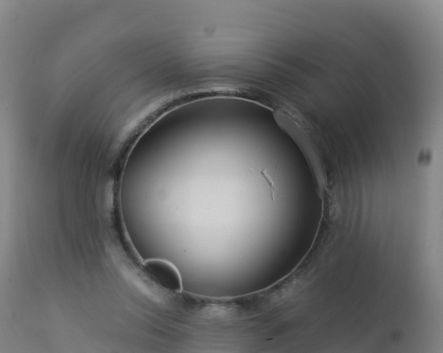 X0000112900350200908281731