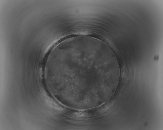 X0000112900351200908281731