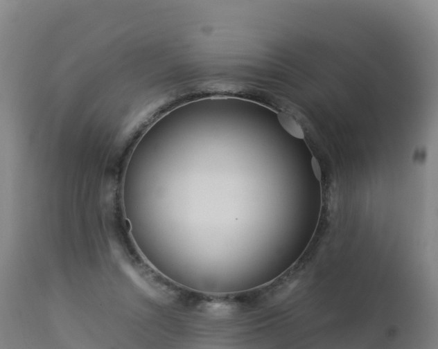 X0000112900352200908281731