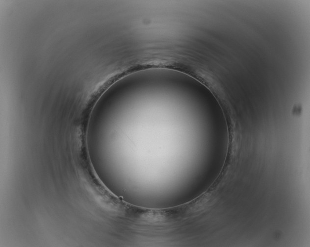 X0000112900354200908281731