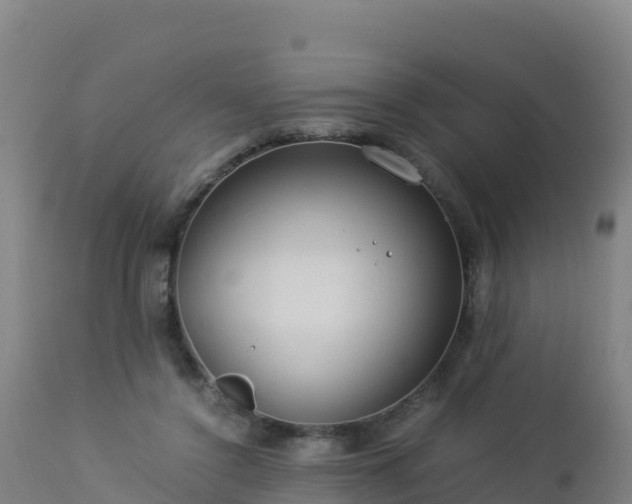 X0000112900356200908281731