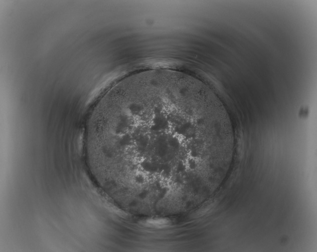 X0000112900357200908281731