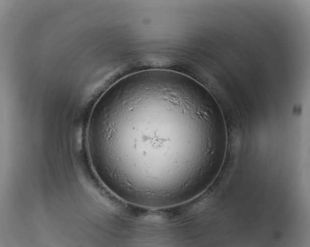 X0000112900358200908281731