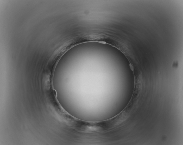 X0000112900360200908281731