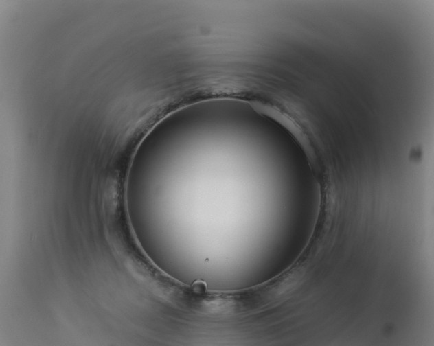 X0000112900362200908281731