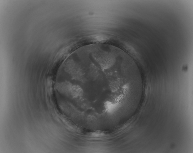 X0000112900366200908281731