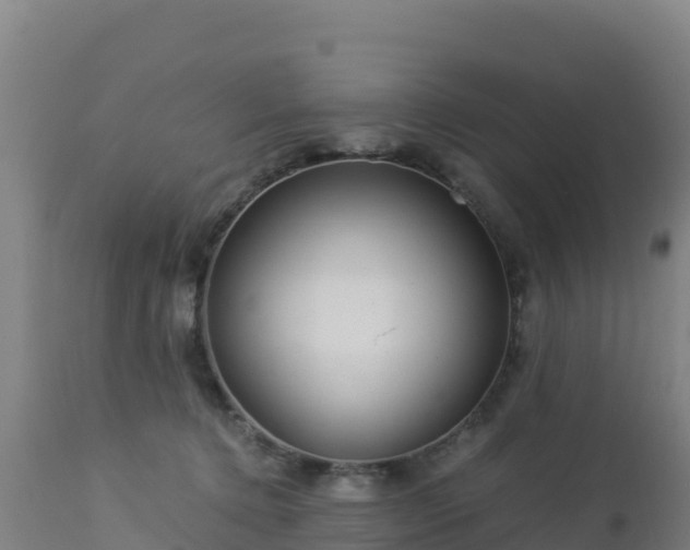 X0000112900368200908281731