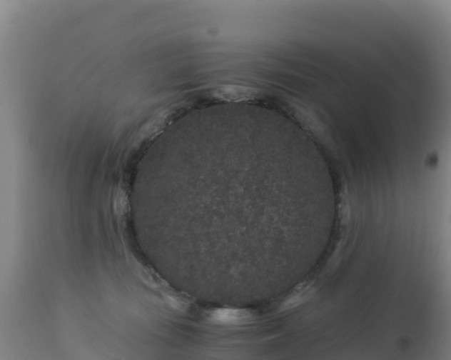 X0000112900371200908281731