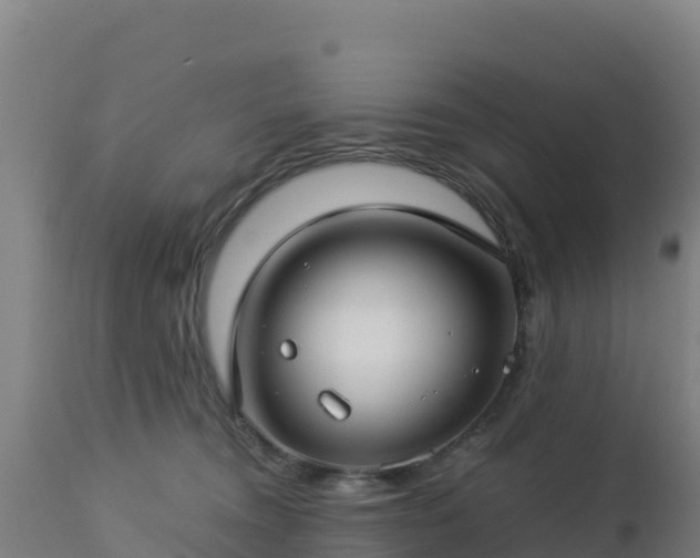 X0000112900372200908281731