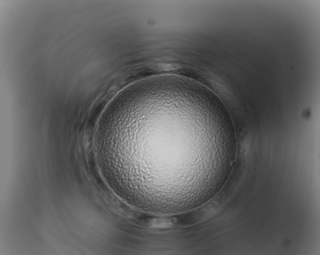 X0000112900373200908281731