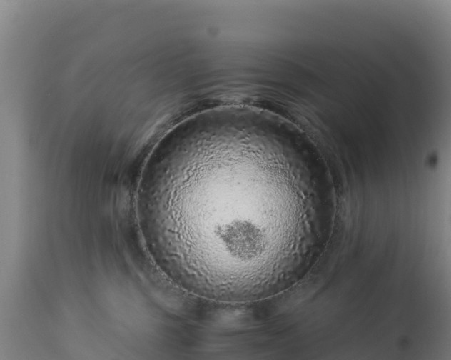 X0000112900375200908281731