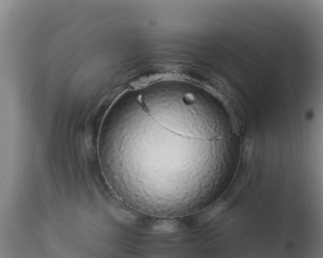 X0000112900377200908281731