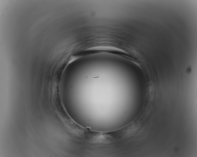 X0000112900379200908281731