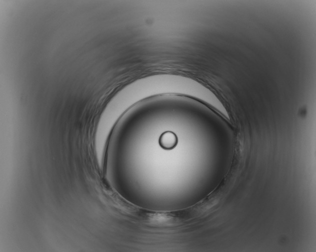 X0000112900380200908281731