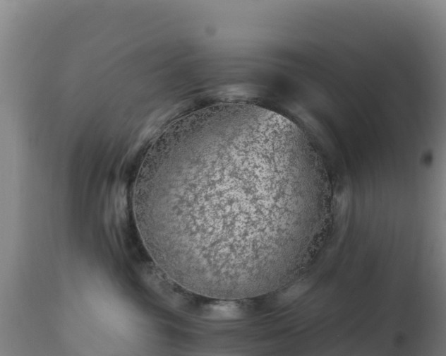 X0000112900381200908281731