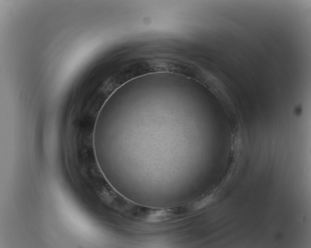 X0000112900382200908281731