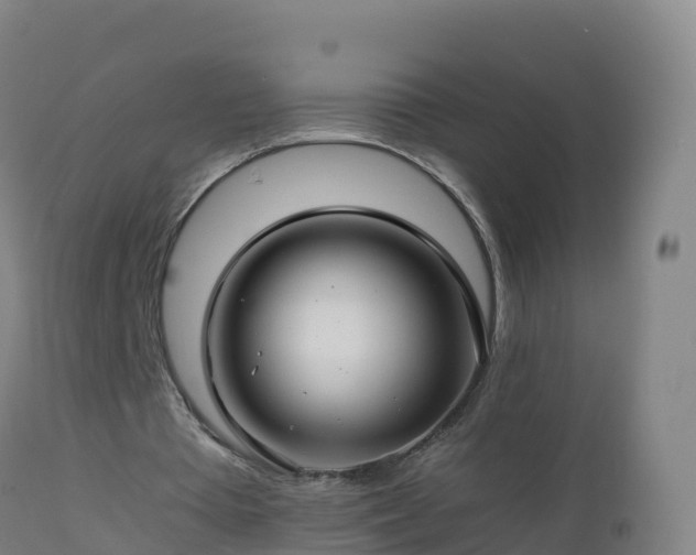 X0000112900385200908281730