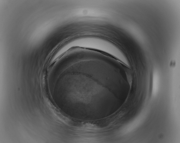 X0000112900387200908281730