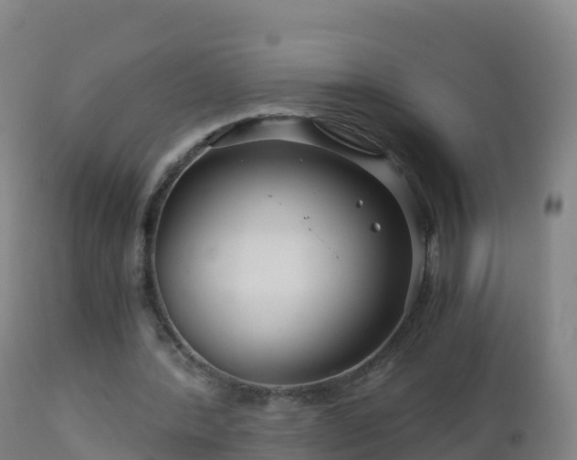 X0000112900388200908281730