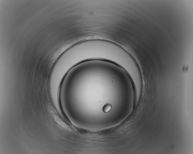 X0000112900389200908281730