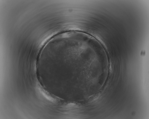 X0000112900390200908281730