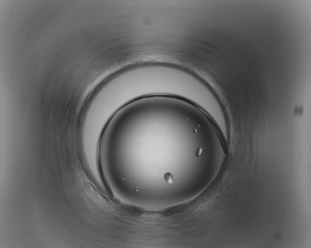 X0000112900391200908281730