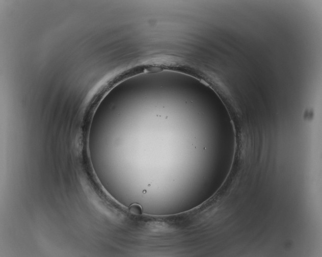 X0000112900392200908281730