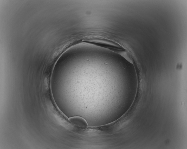 X0000112900393200908281730