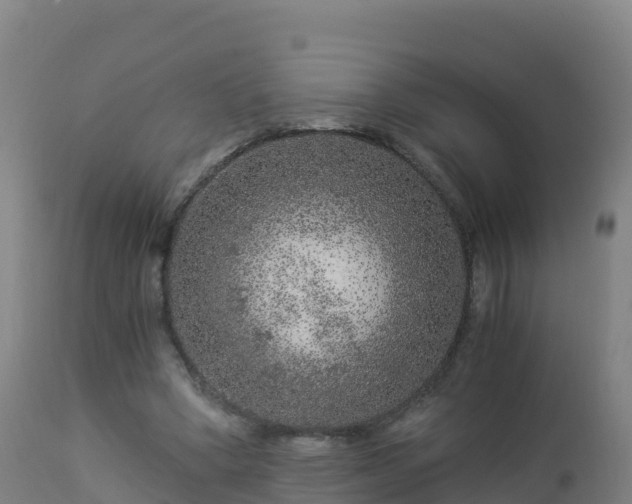 X0000112900394200908281730