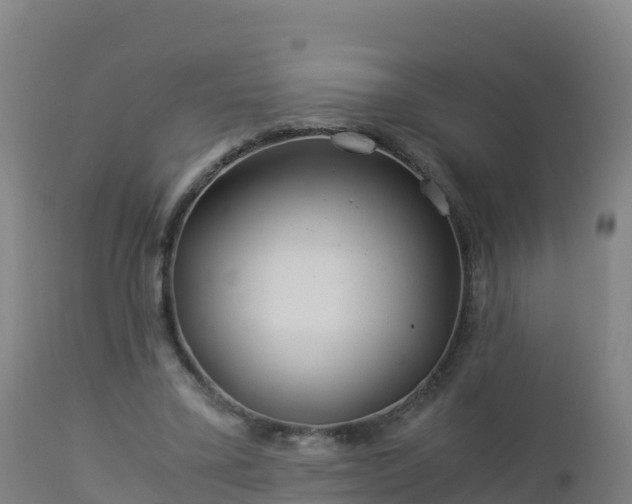 X0000112900395200908281730