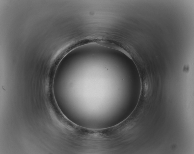 X0000112900396200908281730