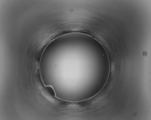 X0000112900397200908281730