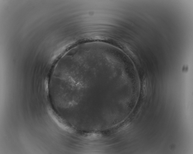 X0000112900398200908281730