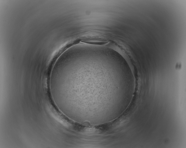 X0000112900399200908281730