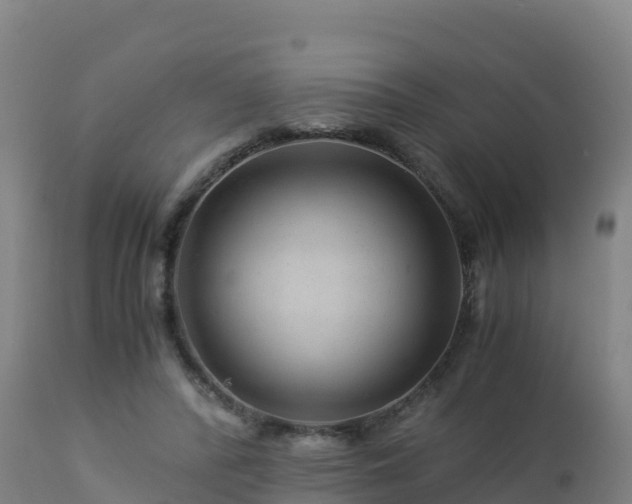 X0000112900400200908281730