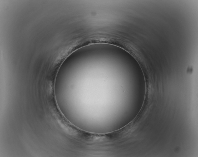 X0000112900401200908281730