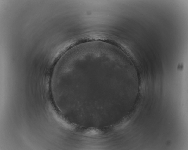 X0000112900402200908281730