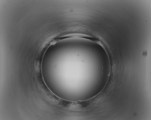 X0000112900403200908281730