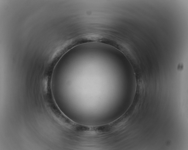 X0000112900404200908281730